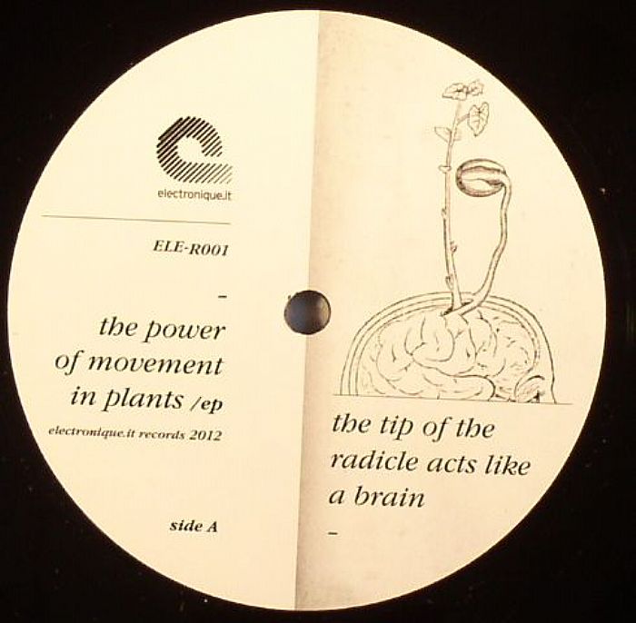 COMMODITY PLACE/PASSENGER/COSMIC METAL MOTHER - The Power Of Movement In Plants EP