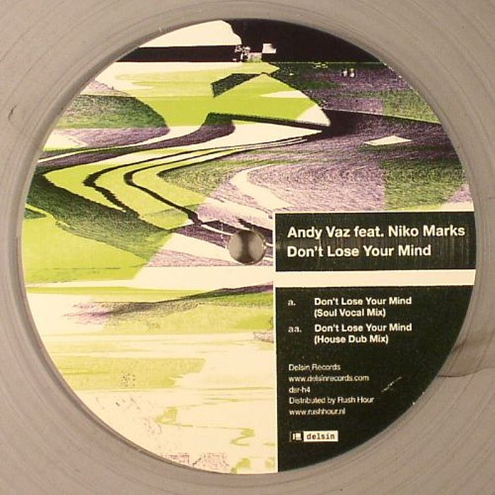 VAZ, Andy feat NIKO MARKS - Don't Lose Your Mind