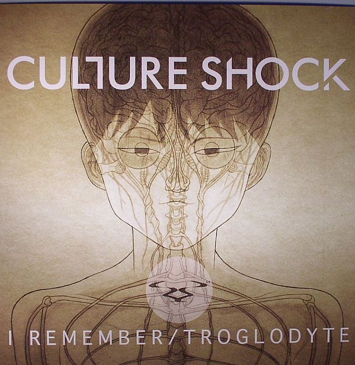 CULTURE SHOCK - I Remember