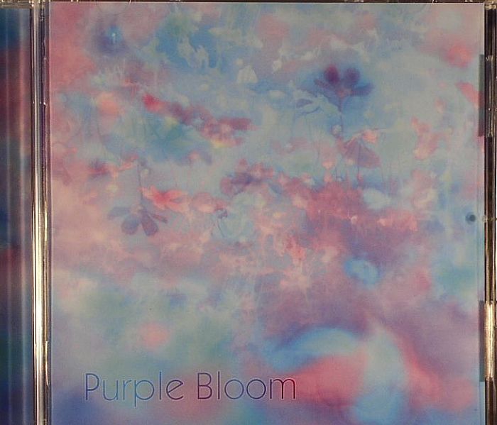 PURPLE BLOOM - Purple Bloom