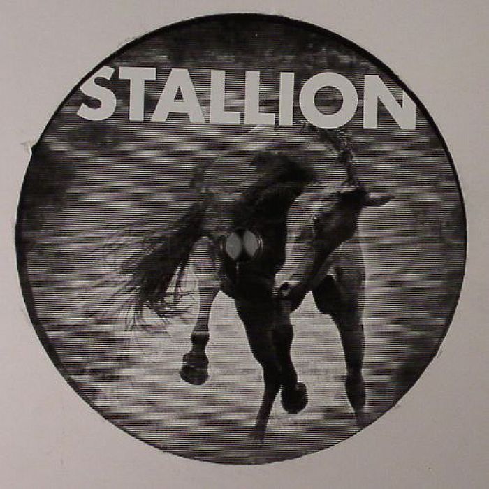 STALLION - Stallion