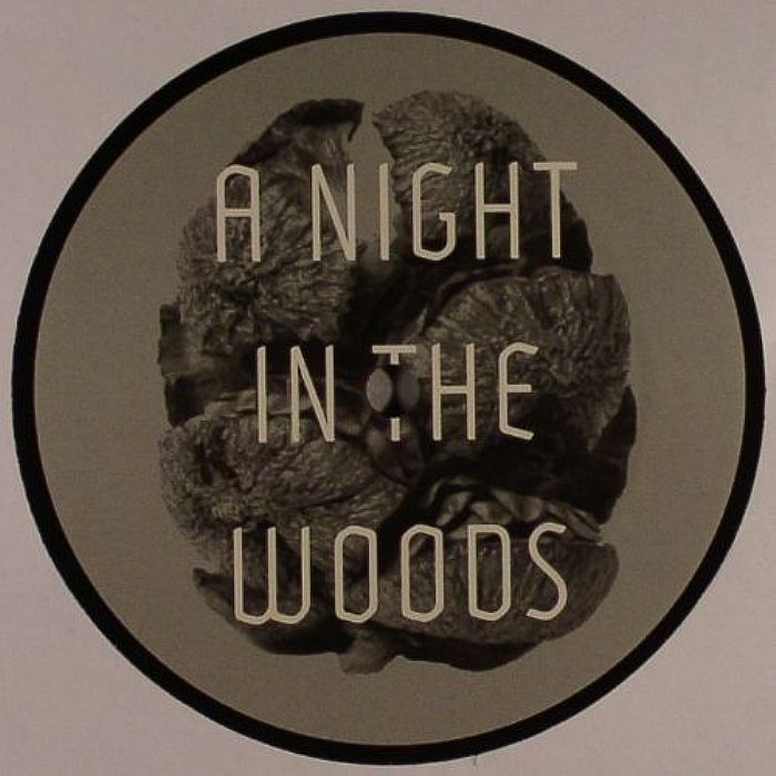 FRIEDMAN, Tyler - A Night In The Woods