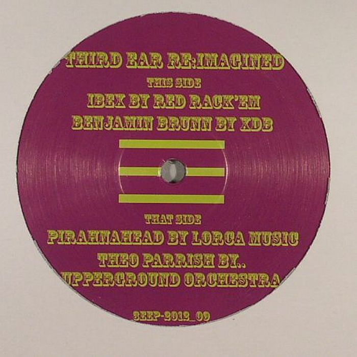 IBEX/BENJAMIN BRUNN/PIRAHNAHEAD/THEO PARRISH - Third Ear Re Imagined
