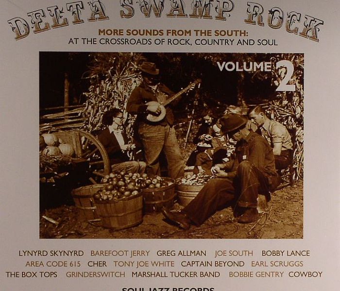 VARIOUS - Delta Swamp Rock: More Sounds From The South 1968-75 Vol 2