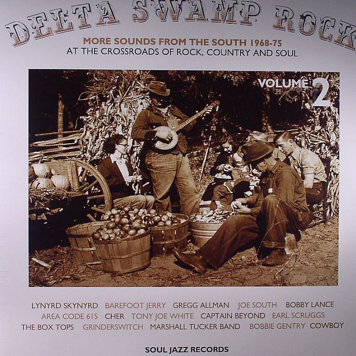VARIOUS - Delta Swamp Rock: More Sounds From The South 1968-75 Vol 2
