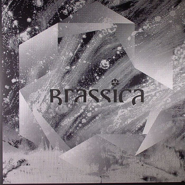 BRASSICA - Temple Fortune EP
