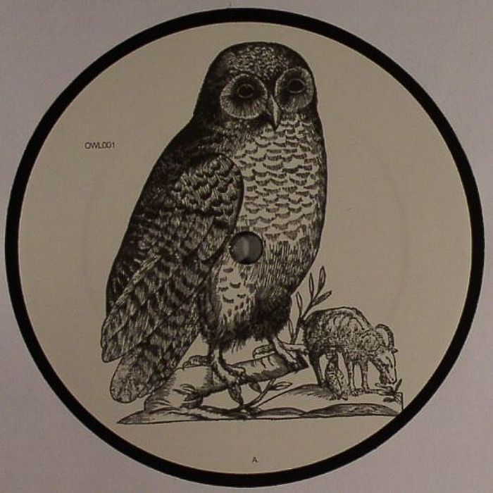 OWL - Owl 1