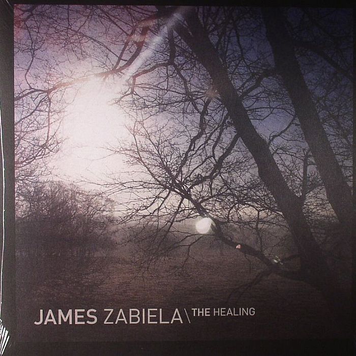 ZABIELA, James - The Healing