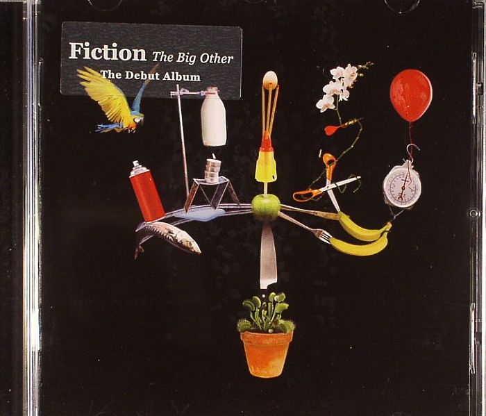 FICTION - The Big Other