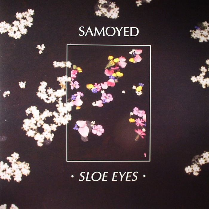 SAMOYED - Sloe Eyes