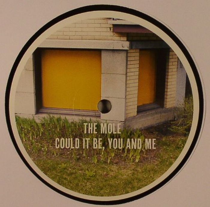 MOLE, The - Could It Be You & Me