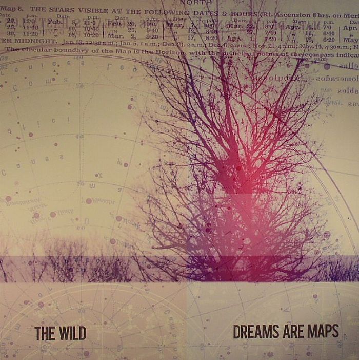 WILD, The - Dreams Are Maps