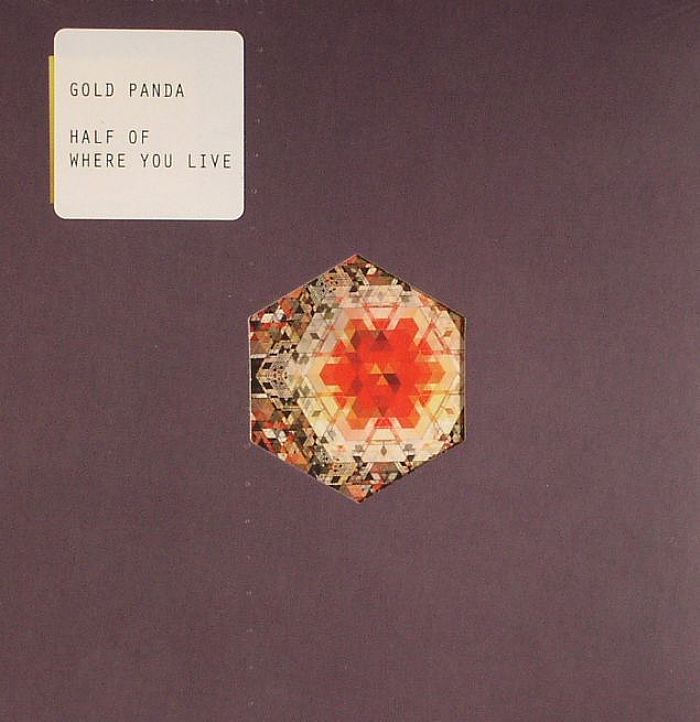 GOLD PANDA - Half Of Where You Live