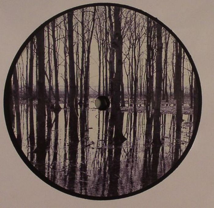 MOVE D/HEAR - Distant Voices EP