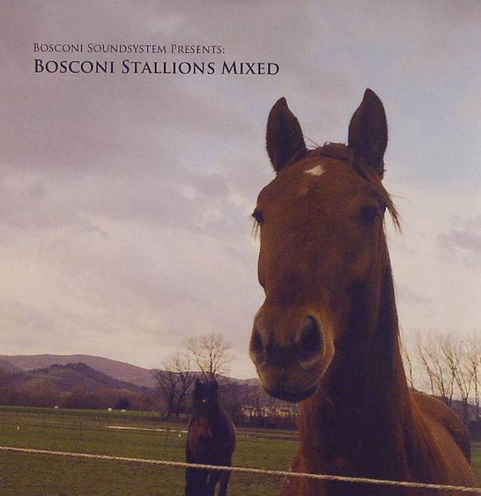 VARIOUS - Bosconi Stallions Mixed