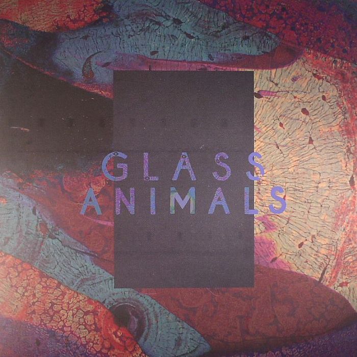 GLASS ANIMALS Black Mambo Vinyl at Juno Records.