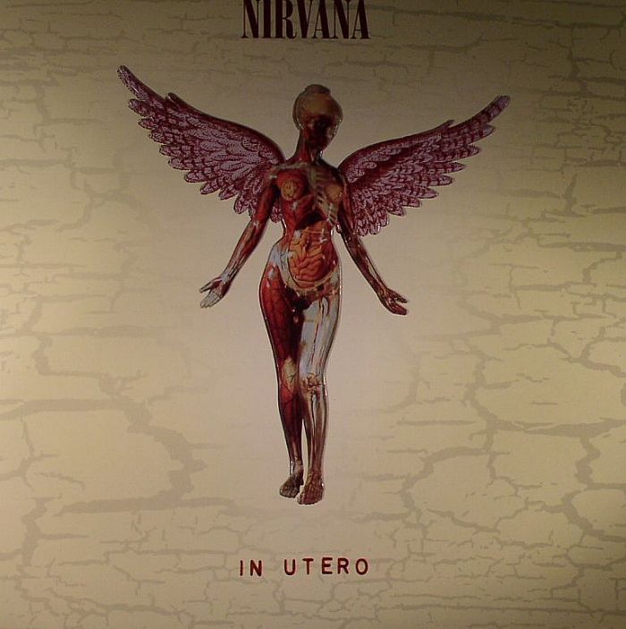 NIRVANA In Utero (20th Anniversary Super Deluxe Edition) vinyl at Juno ...