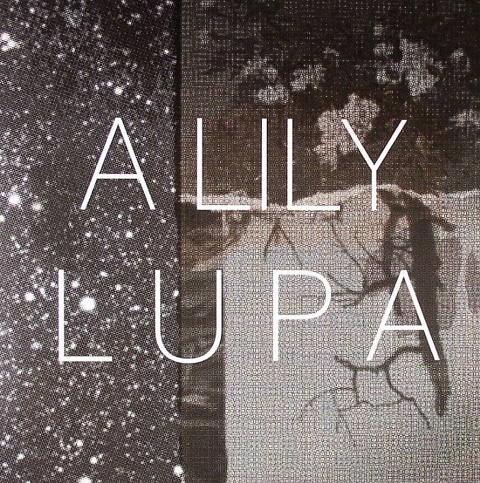 A LILY - Lupa