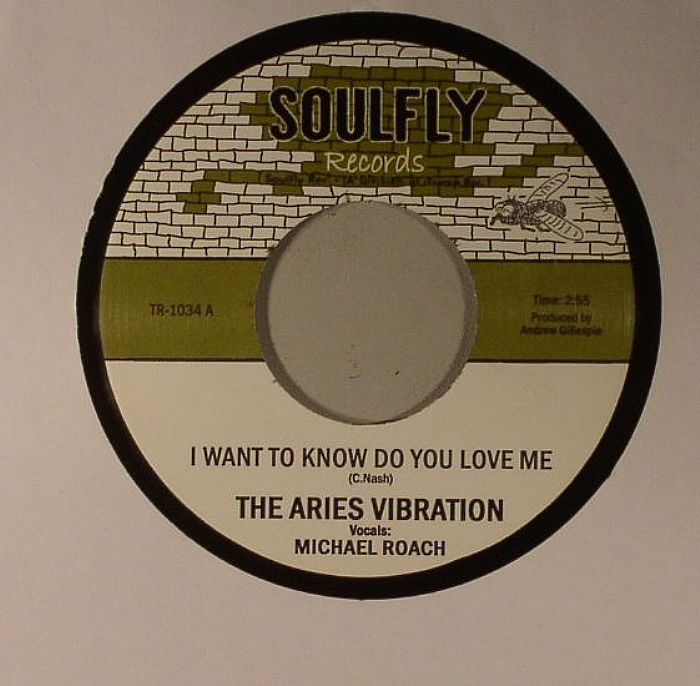 ARIES VIBRATION, The - I Want To Know Do You Love Me