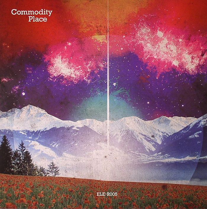COMMODITY PLACE - Multifrequency Behaviour Of High Energy Cosmic Sources EP