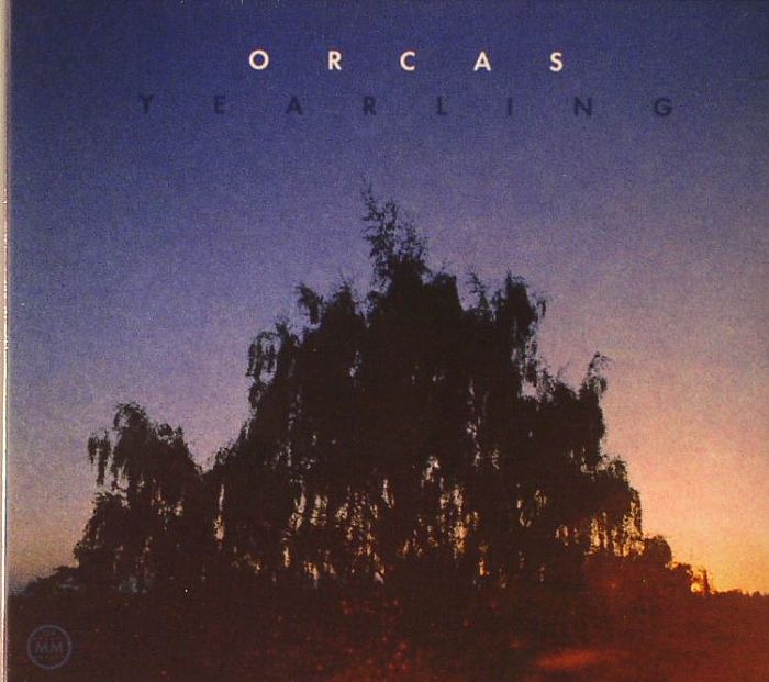 ORCAS - Yearling
