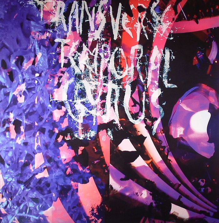 ANIMAL COLLECTIVE - Transverse Temporal Gyrus (Record Store Day 2012)