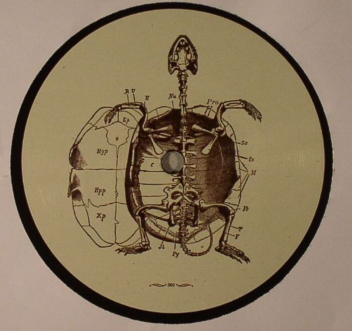 TESTA, Stefano - Hot Sea's Baby Turtle EP