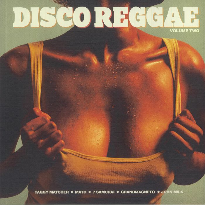 VARIOUS - Disco Reggae Vol 2