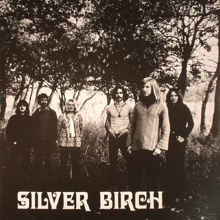 SILVER BIRCH - Silver Birch
