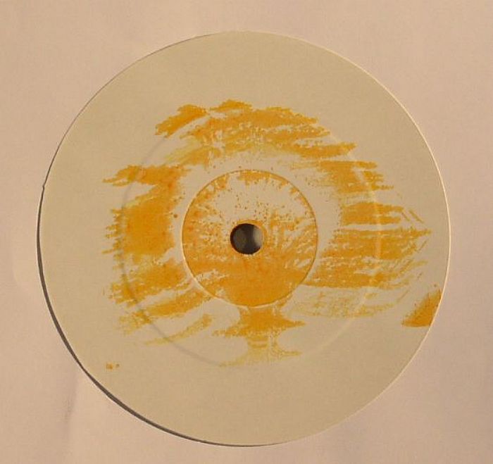 AQUARIAN FOUNDATION - Planet Of Discipline
