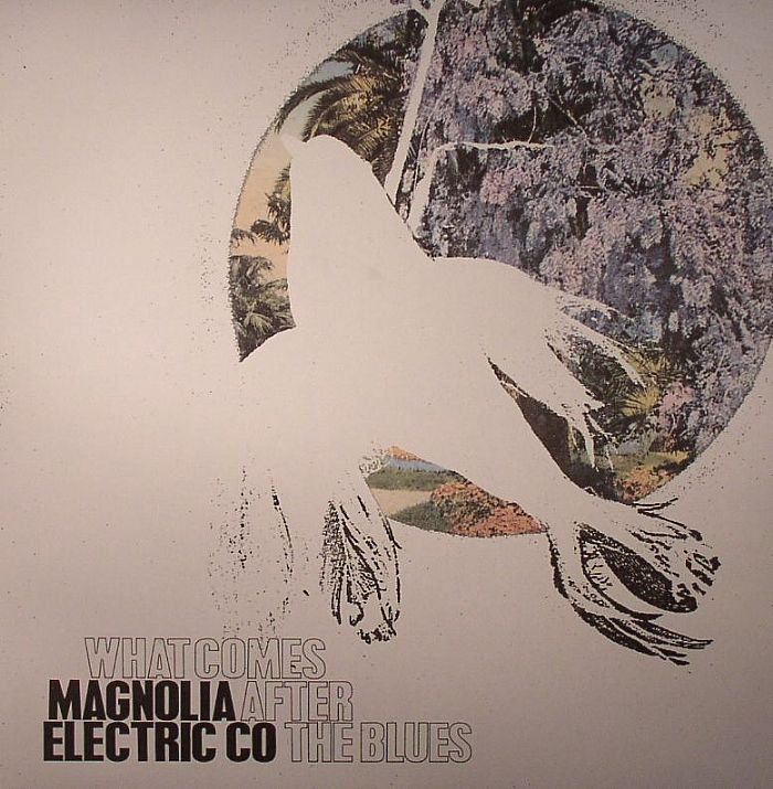 MAGNOLIA ELECTRIC CO - What Comes After The Blues
