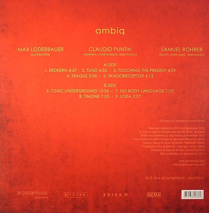 PUNTIN, Claudio/SAMUEL ROHRER/MAX LODERBAUER - Ambiq