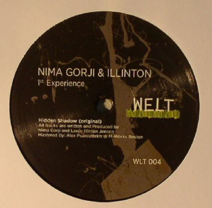 GORJI, Nima/ILLINTON - 1st Experiece