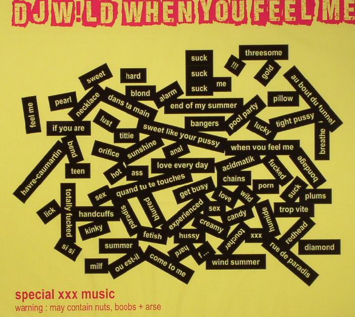 DJ WILD - When You Feel Me