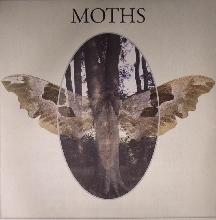 MOTHS - Moths