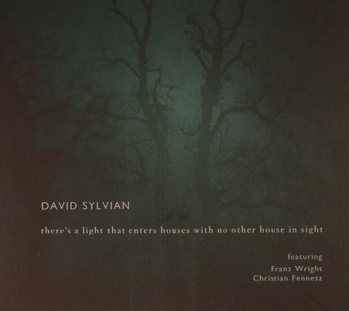 DAVID SYLVIAN feat FRANZ WRIGHT & CHRISTIAN FENNESZ - There's A Light Which Enters Houses With No Other House In Sight