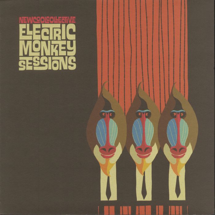NEW COOL COLLECTIVE - Electric Monkey Sessions