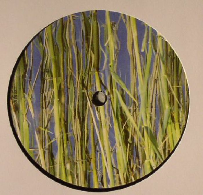 BAUCH/THREE ANGLES/THIRD CHILD/ZAVOR - Possible Connection EP