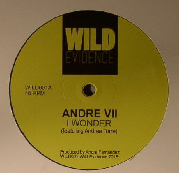 ANDRE VII - I Wonder