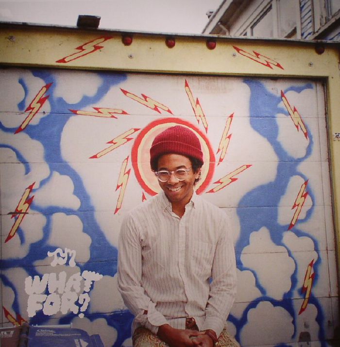 TORO Y MOI - What For? (Deluxe Edition)