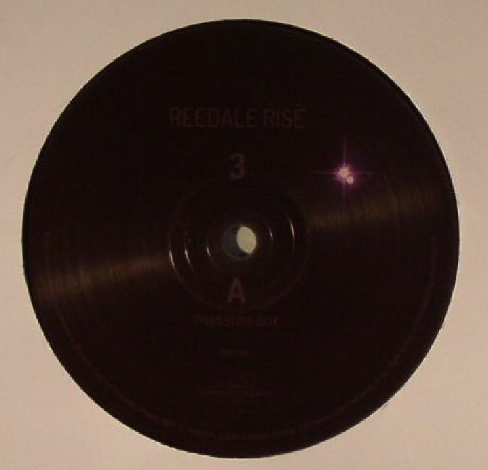 REEDALE RISE - Common Dreams 3
