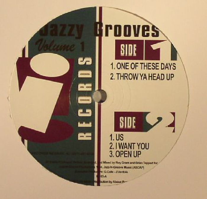 JAZZ N GROOVE - Jazzy Grooves Volume 1