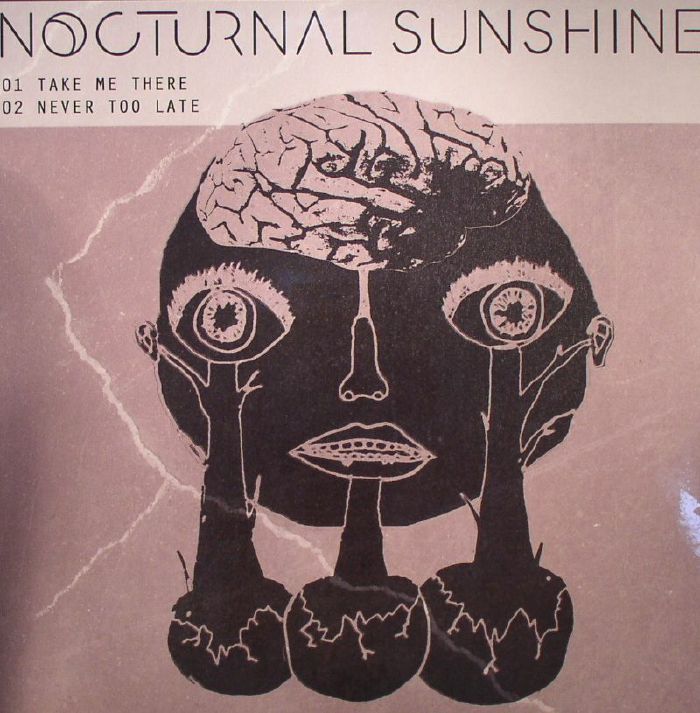 NOCTURNAL SUNSHINE - Take Me There (Record Store Day 2015)
