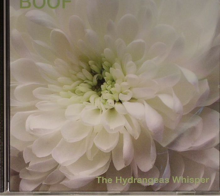 BOOF - The Hydrangeas Whisper