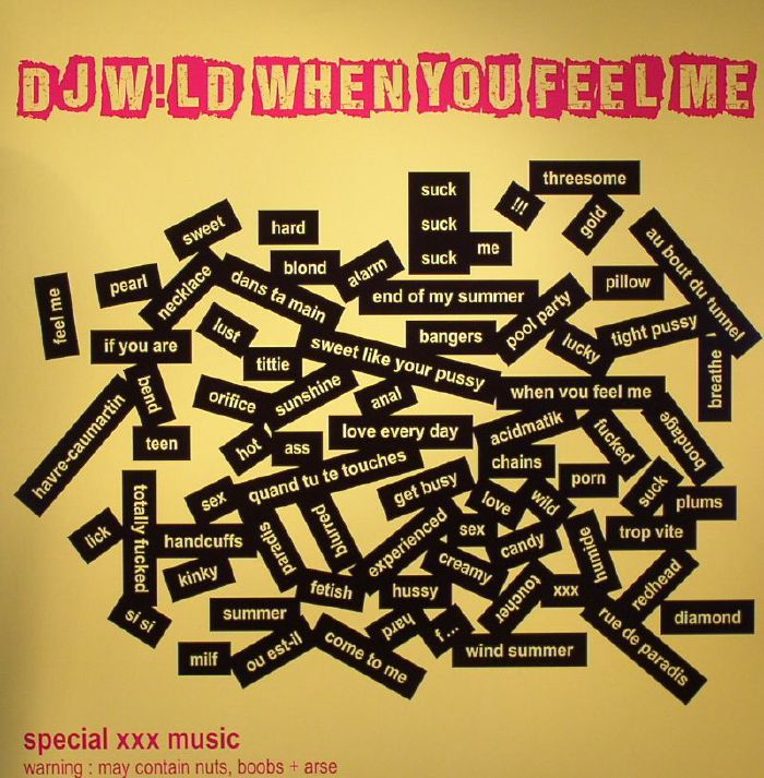 DJ WILD - When You Feel Me Part 1
