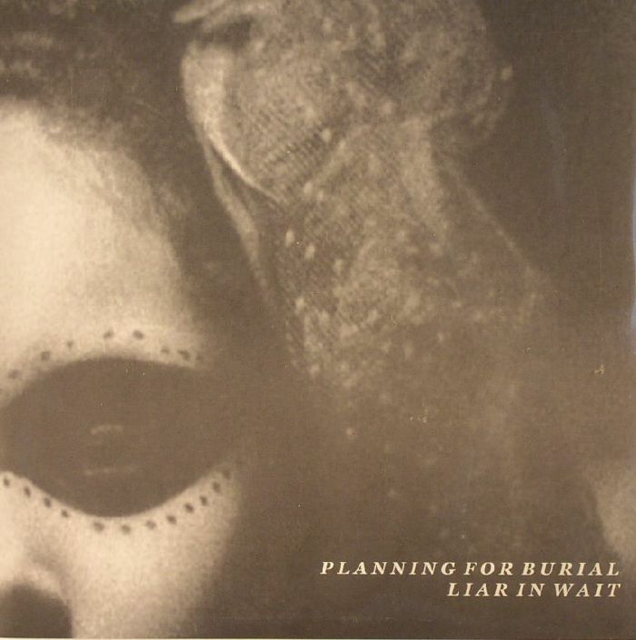 PLANNING FOR BURIAL/LIAR IN WAIT - Mischief Night/Paper Houses