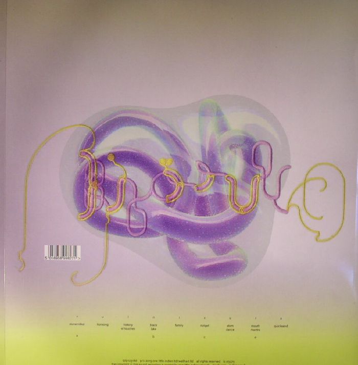 BJORK - Vulnicura