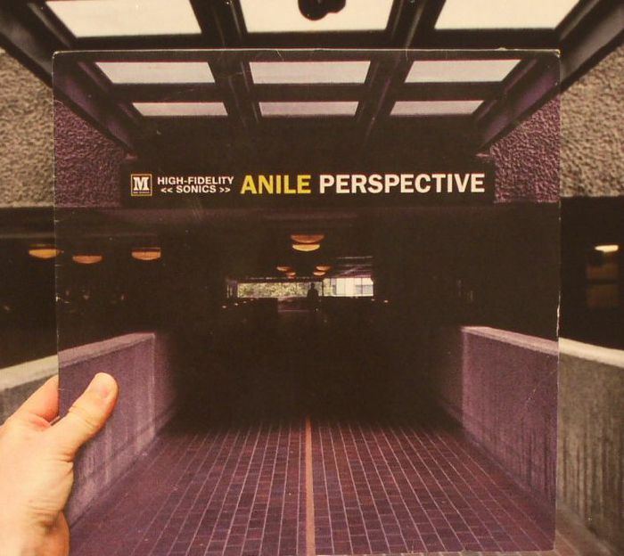 ANILE - Perspective
