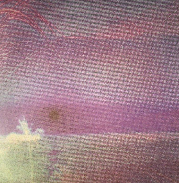 FLYING SAUCER ATTACK/ROY MONTGOMERY - Goodbye