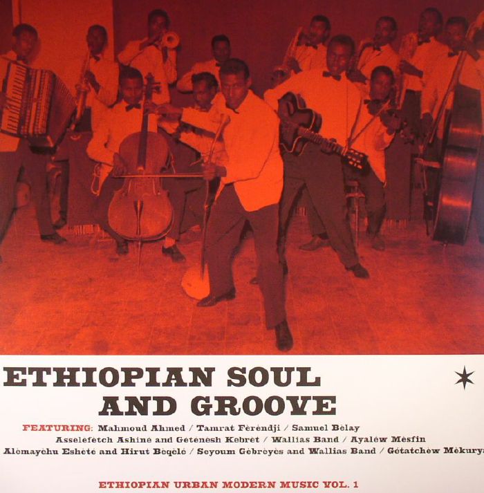 VARIOUS - Ethiopian Soul & Groove: Ethiopian Urban Modern Music Vol 1